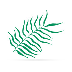 Line art leaf of palm icon isolated on white. Outline kids hand drawing art line. Spring, summer or autumn  symbol. Doodle sketch. Vector stock illustration