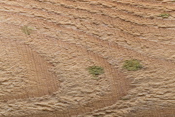 Surface of old textured wooden board for background