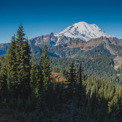 Mt. Rainier in the Distance
