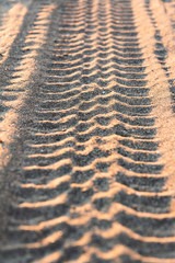tire tracks in the sand