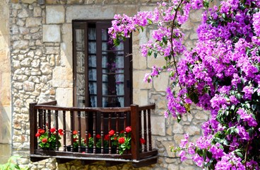 Fototapeta na wymiar window and a balcony with flowers 