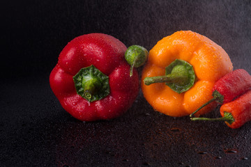 Colorful vegetables under stream of water. Bunch of vitamins. Food concept.