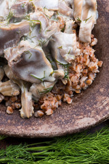 Stewed turkey stomachs with vegetables and buckwheat in a bowl