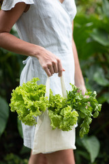 Woman hands holding textile eco glocery bag with fresh lettuce and parsley on nature background. Zero waste concept.