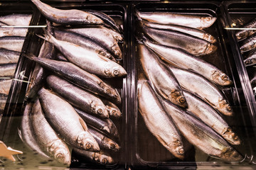 Obraz premium Different types of fresh fish in supermarket, closeup