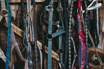 Equipements pour les chevaux sangles mors et licols