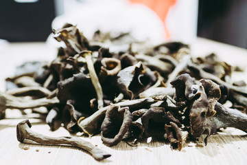 Champignons trompettes de la mort ramassés en foret