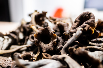 Champignons trompettes de la mort ramassés en foret