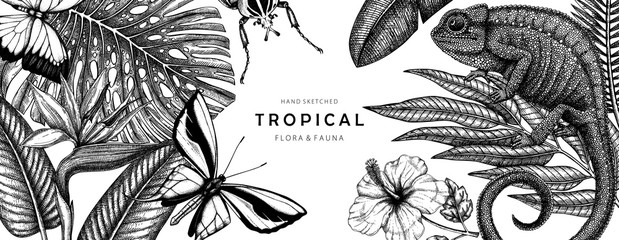 Tropical banner design. Vector frame with hand drawn tropical plants, exotic flowers, palm leaves, insects and chameleon. Vintage wildlife background. Summer template with tropical plants and animals.
