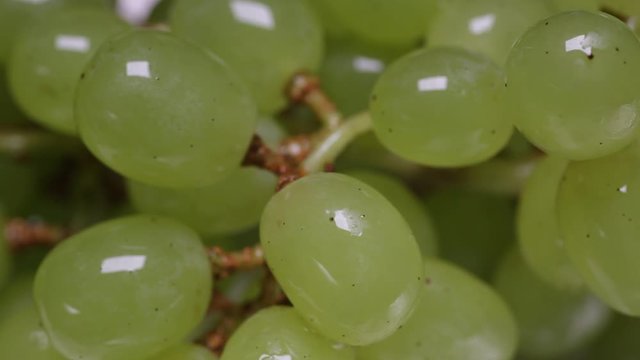 Green grapes watered with water, close-up.