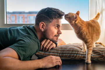 gato atigrado huele la frente de un joven delante de la ventana