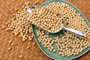 gold soybean in hay background