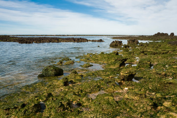 Fototapeta na wymiar Stone shoal at low tide, Peninsula Valdes, Patagonia, Argentina