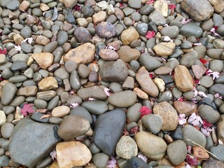 River pebbles