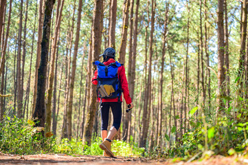 Obraz premium woman researcher with tool watching the nature in forest