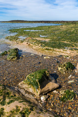 Stone shoal at low tide, Peninsula Valdes, Patagonia, Argentina