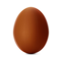 Chocolate chicken egg. Realistic vector illustration isolated on white background. Ready for your design. EPS10.