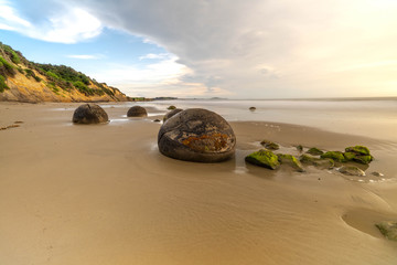Moeraki Boulders, New Zealand © Piotr
