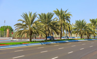 Abu Dhabi street view with road and palm trees. Sunny summer day in Abu Dhabi. Famous tourist destination in UAE. Ideal place for luxury travel, shopping and rest