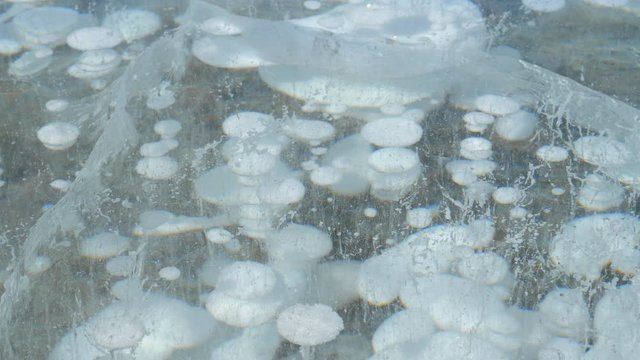 CLOSE UP: Methane bubbles freeze in the depths of Lake Abraham during a frigid winter. Large air bubbles are trapped under a thick layer of ice covering a massive lake in the scenic Canadian Rockies.