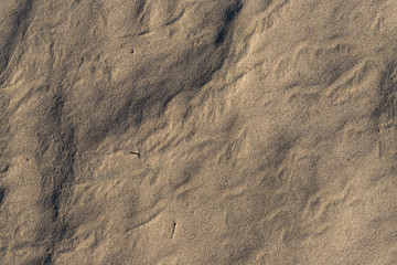 Graphic, volumetric texture of sand on a dried surface. Bottom of the pond or river.