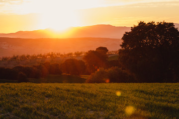 Fototapeta premium Photograph of a spring sunset with trees and mountains in the background. Granada, Spain.