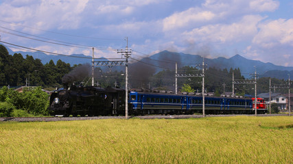 日光市　東武鉄道鬼怒川線　SL大樹