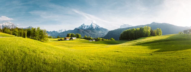 Poster de jardin Paysage Paysage de montagne idyllique dans les Alpes avec des prairies fleuries au printemps