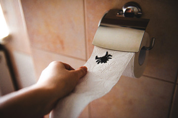 Drawn spider on toilet paper joke