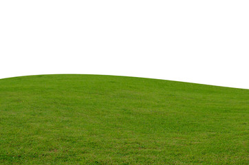Green grass field isolated on white background with clipping path.
