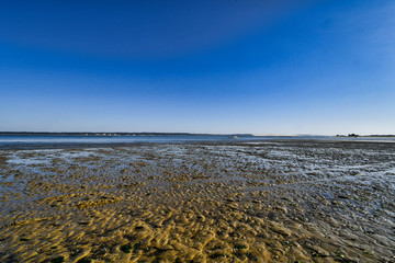Bassin d'Arcachon