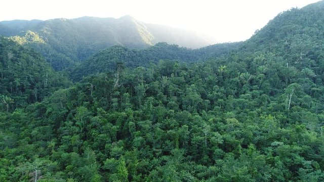 Flight over Mayan Mountains in Central American Jungles