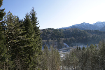  Mountain landscape with tall fir trees on a background of mountains. Bird's-eye view. Winter natural background.