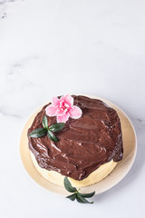 Jiggly and fluffy Japanese cotton souffle cheesecake decorated with chocolate glaze on ceramic plate. Light grey background.