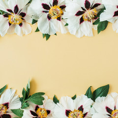 Frame border of white peonies flowers on yellow background. Flat lay, top view minimal floral copy space mockup.