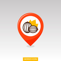Gooseberry pin map icon. Gooseberry berry fruit