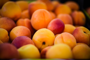 fresh apricots close up view