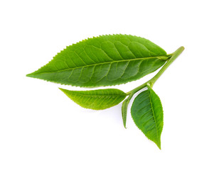 green tea leaf isolated on white background
