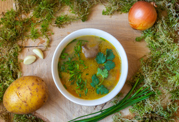 Soup with sour cream and mushrooms on the moss