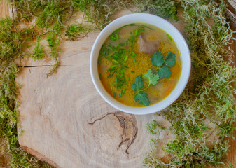 Soup with sour cream and mushrooms on the moss