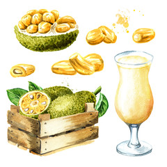 Jackfruit juice and box set. Hand drawn watercolor illustration isolated on white background