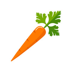 Carrot icon vector illustration. EPS 10