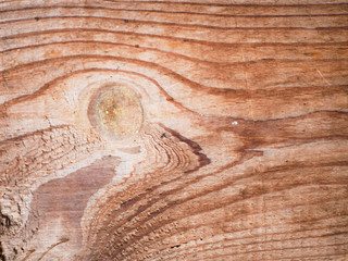 Saw cut wood background closeup. Background of wood. Background texture.