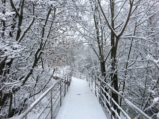 path through the snow covered forest on the bridge