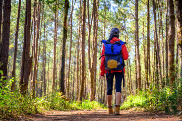 woman trekking walks to the deep of the forest jungle, explore the nature in holidays weekend.