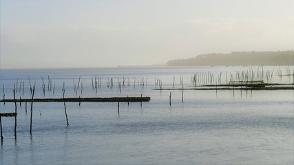 Naklejka premium Bassin d'Arcachon