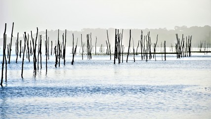 Bassin d'Arcachon
