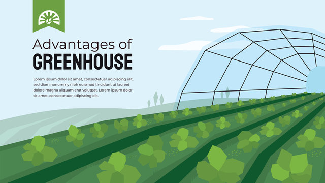 Vector illustration of advantage of greenhouse. Polyhouse cultivation in agriculture. Design template for horticulture or agronomy. Template with greenhouse farming for banner, poster, flyer, layout.