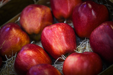 fresh apples close up view
