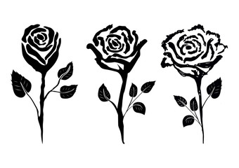 14-01 hand drawn rose flower set